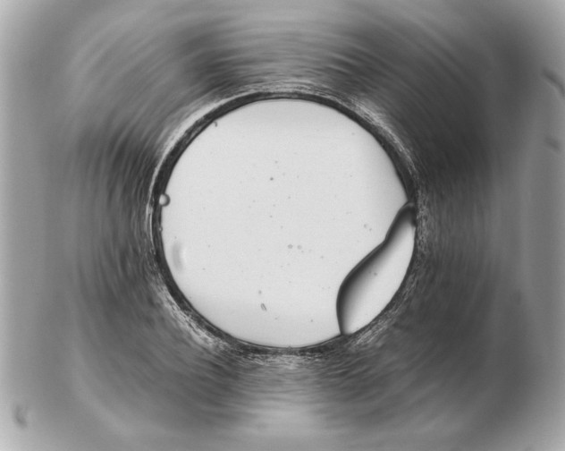 X0000102470932200808291601