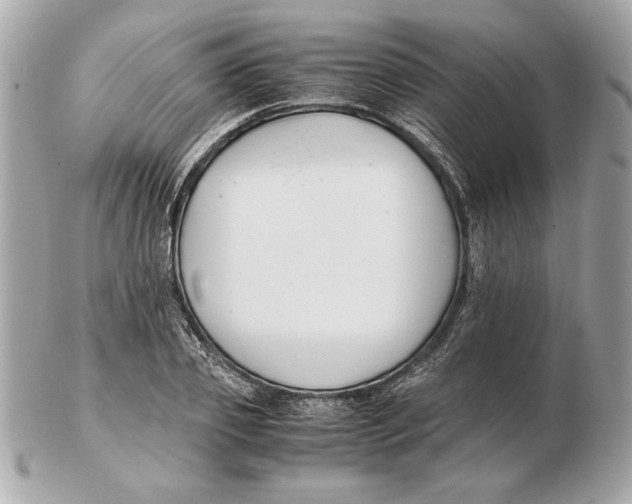 X0000102470933200808291601