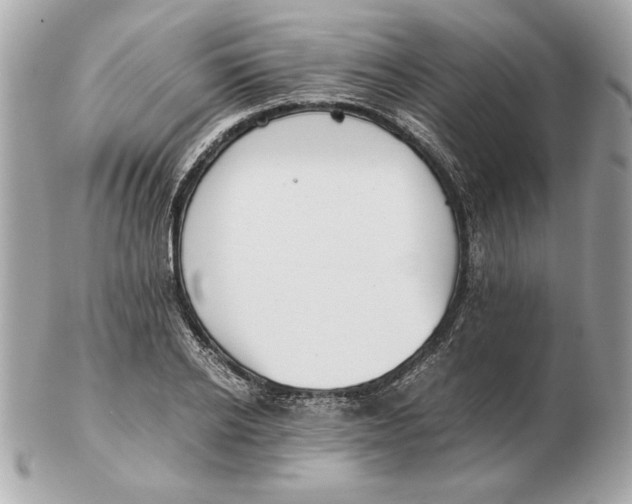 X0000102470934200808291601
