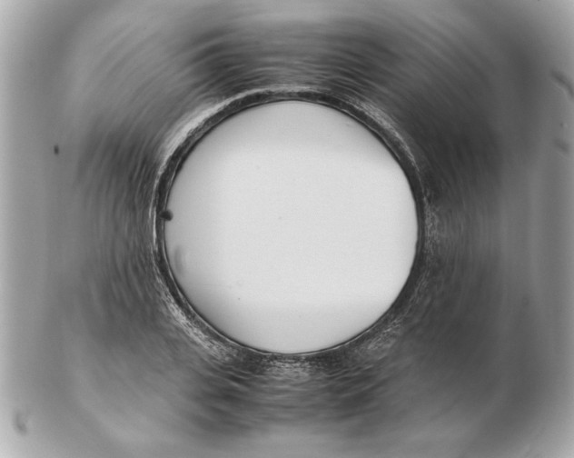 X0000102470935200808291601