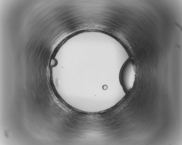 X0000102470936200808291601