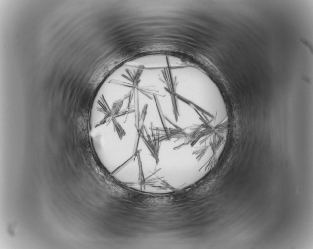 X0000102470937200808291601
