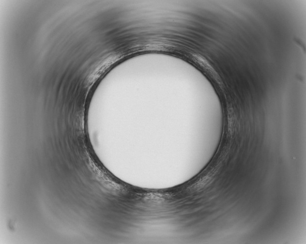 X0000102470938200808291601