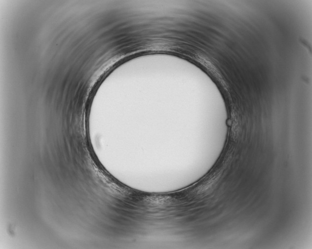 X0000102470939200808291601