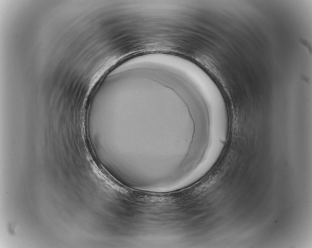 X0000102470941200808291601