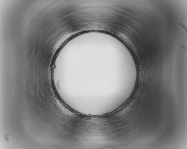 X0000102470942200808291601