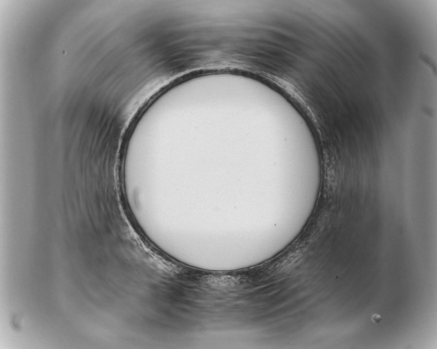 X0000102470943200808291601