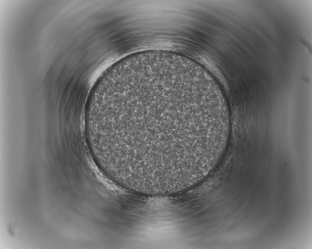 X0000102470944200808291601