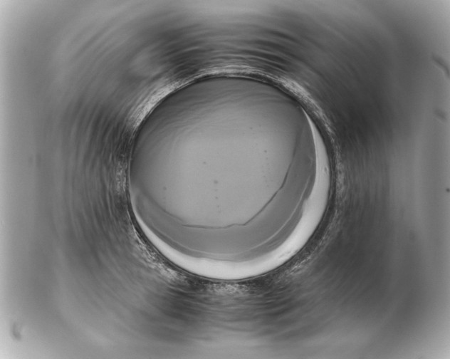 X0000102470945200808291601