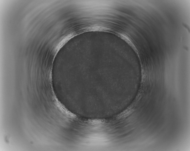 X0000102470946200808291601