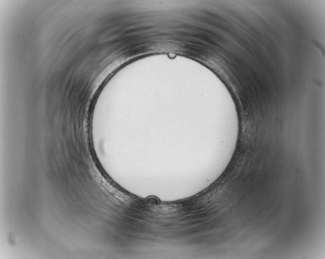 X0000102470947200808291601