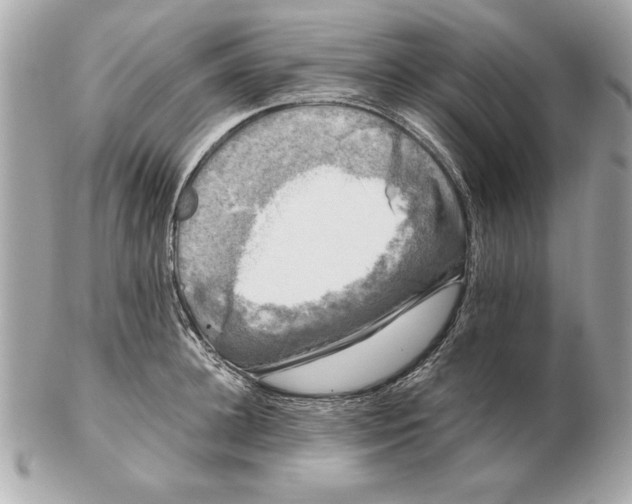 X0000102470948200808291601
