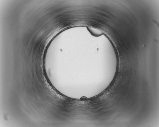 X0000102470949200808291601