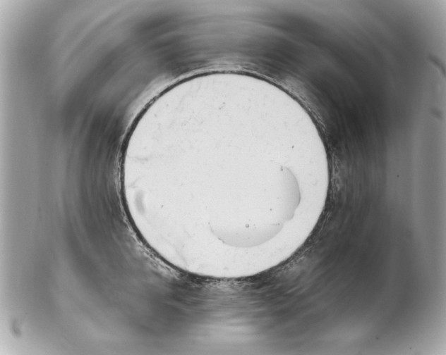 X0000102470950200808291601