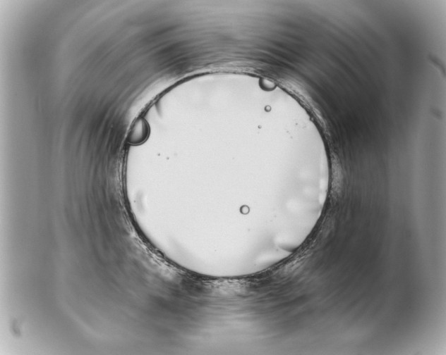 X0000102470952200808291601
