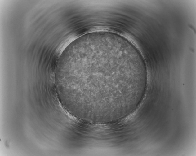 X0000102470953200808291601