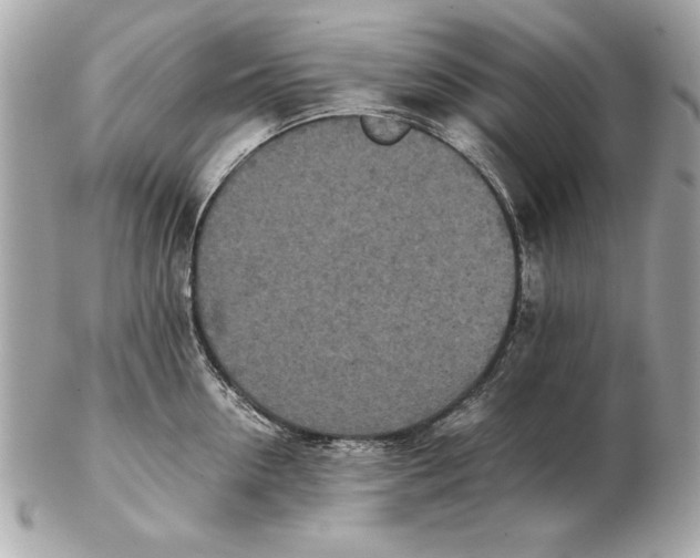 X0000102470954200808291601