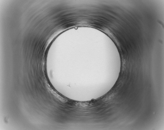 X0000102470955200808291601