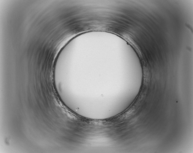 X0000102470956200808291601