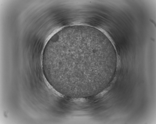 X0000102470957200808291601