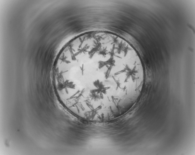X0000102470958200808291601