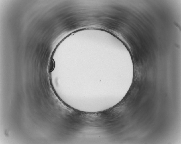 X0000102470959200808291601