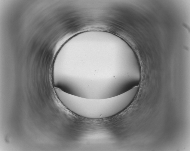 X0000102470960200808291601