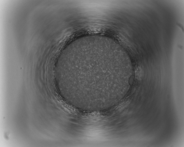 X0000102470961200808291601