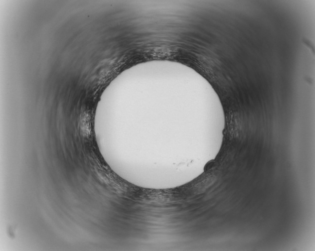 X0000102470962200808291600