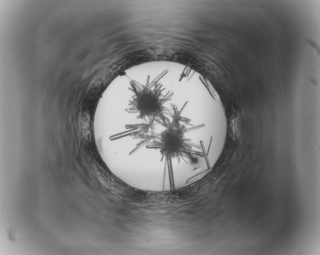 X0000102470963200808291600