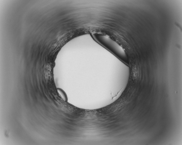 X0000102470964200808291600