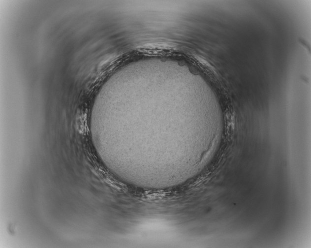 X0000102470965200808291600