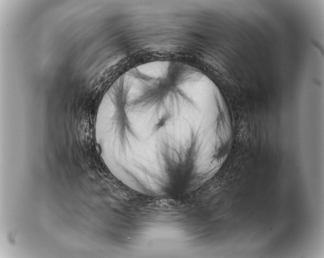 X0000102470966200808291600