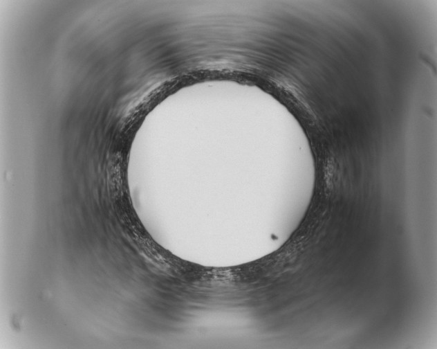 X0000102470968200808291600