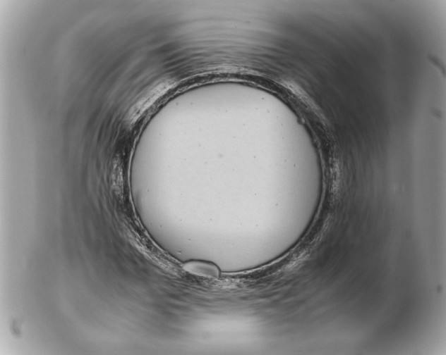 X0000102470969200808291600