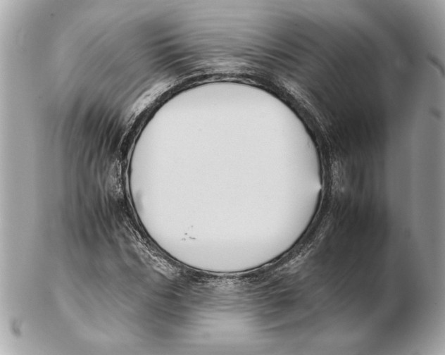 X0000102470970200808291600