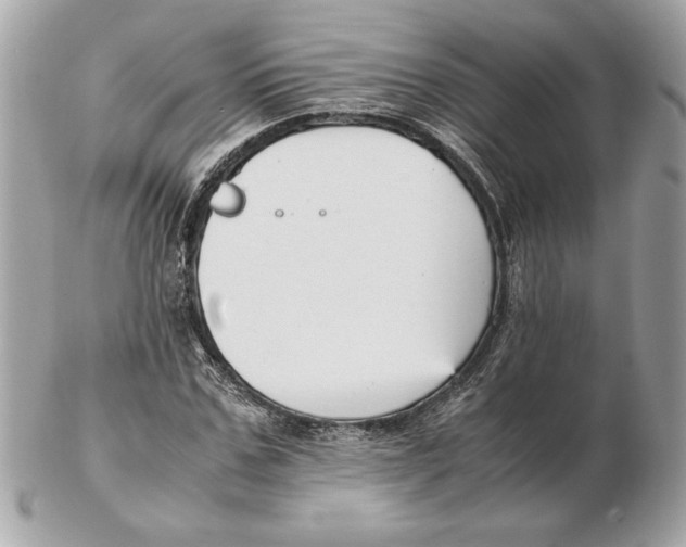 X0000102470971200808291600