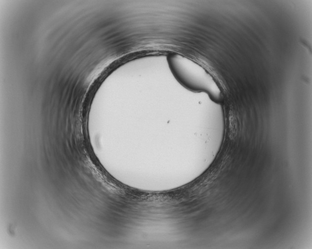 X0000102470972200808291600