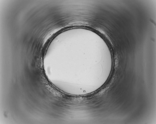 X0000102470973200808291600