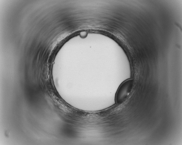 X0000102470974200808291600