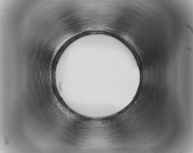 X0000102470976200808291600