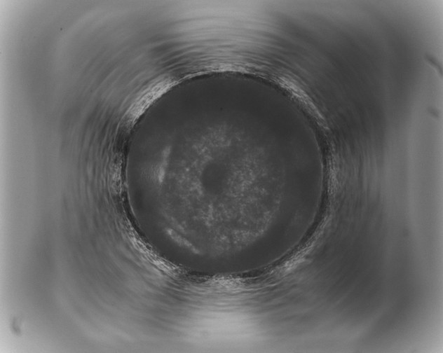 X0000102470977200808291600