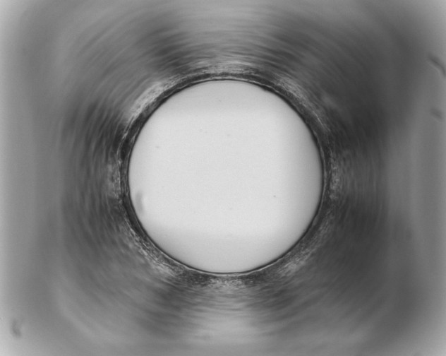 X0000102470978200808291600