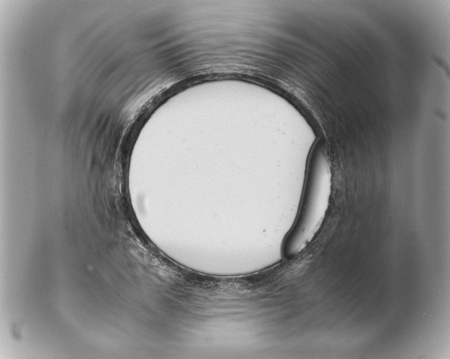 X0000102470979200808291600