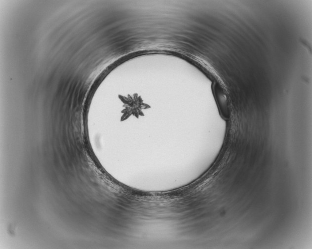 X0000102470980200808291600
