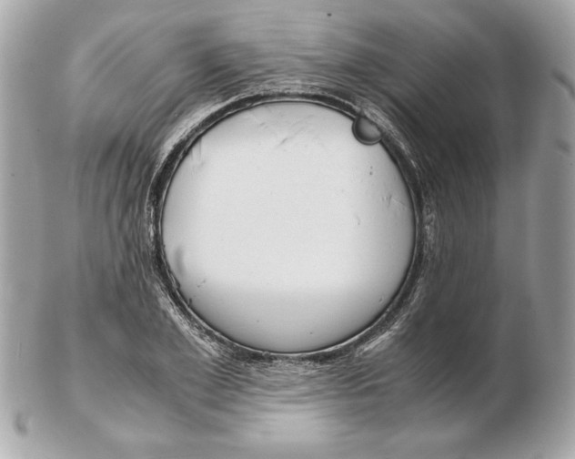 X0000102470981200808291600