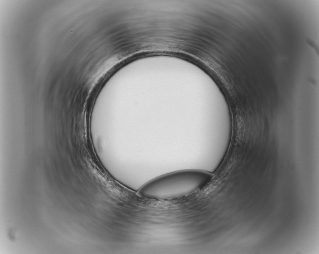 X0000102470982200808291600