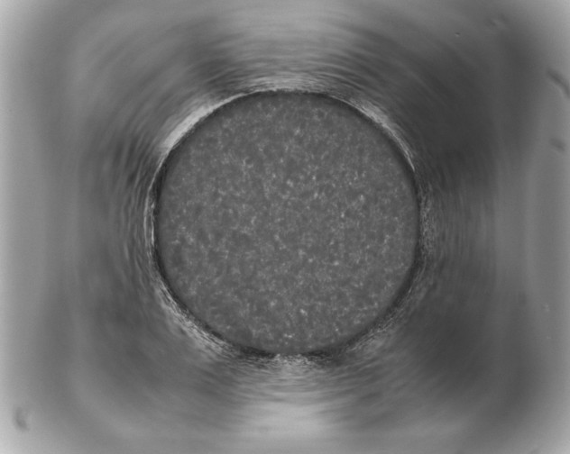 X0000102470983200808291600