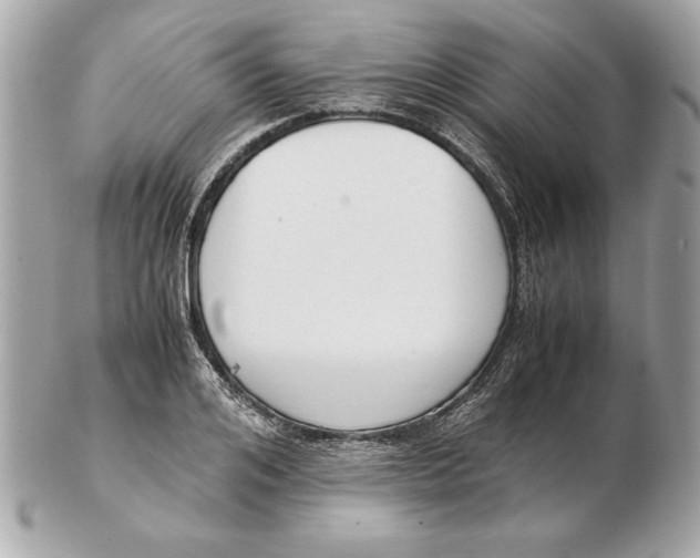 X0000102470984200808291600