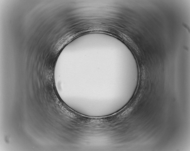 X0000102470985200808291600